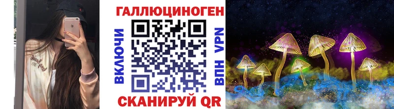 Псилоцибиновые грибы Cubensis  Удомля 