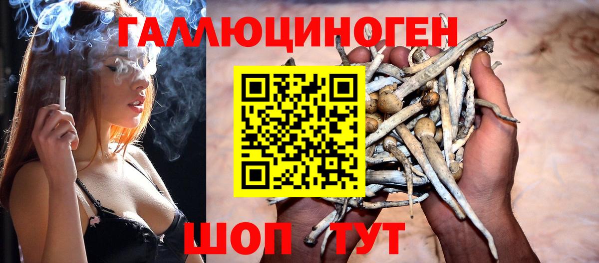 Галлюциногенные грибы мухоморы Удомля