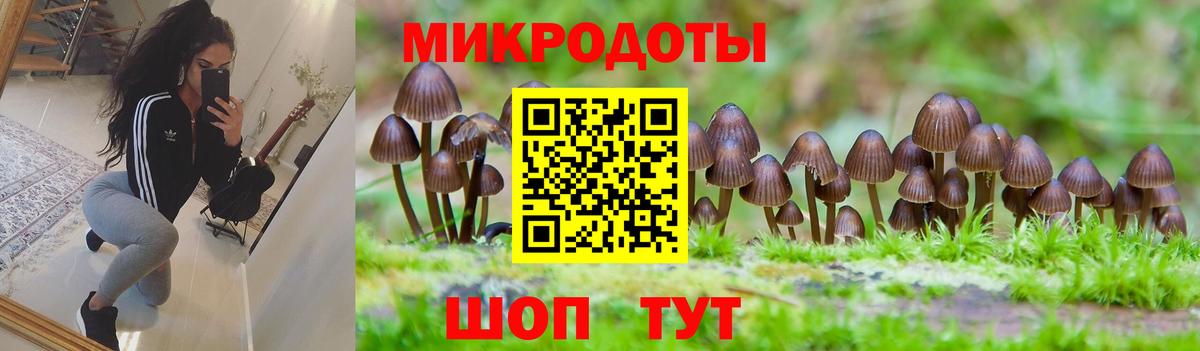 Удомля  Галлюциногенные грибы Magic Shrooms  Вход с VPN  Галлюциногенные грибы Psilocybine cubensis 